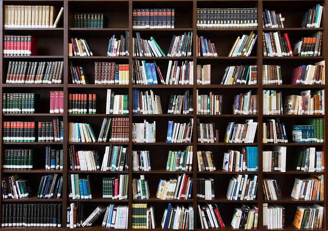 Literature Study